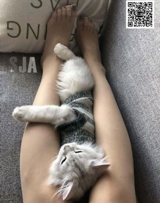 欧美无厘头电影推荐_国产剧天堂在线